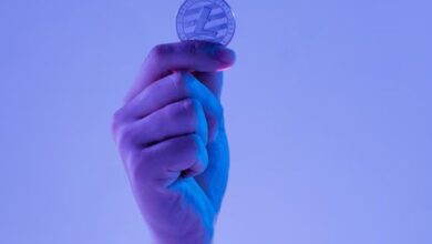 En 2024, la Red Litecoin Procesó 77 Millones de Transacciones: ¡Descubre Este Gran Hito en Su Evolución! - Cripto Boom