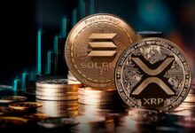 ETFs de Solana, XRP y Litecoin Podrían Ser Aprobados: "¡Pero Solo Bajo una Condición!" Descubre el Análisis de Dos Expertos en ETFs. - Cripto Boom