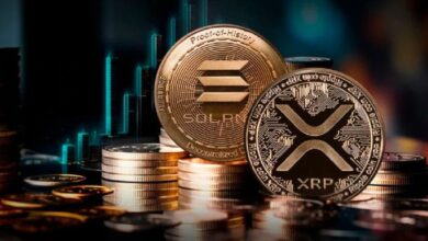 ETFs de Solana, XRP y Litecoin Podrían Ser Aprobados: "¡Pero Solo Bajo una Condición!" Descubre el Análisis de Dos Expertos en ETFs. - Cripto Boom