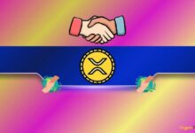 Ripple Se Une al IRC para Ayudar a Personas Afectadas por Crisis: Descubre los Detalles - Cripto Boom