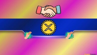 Ripple Se Une al IRC para Ayudar a Personas Afectadas por Crisis: Descubre los Detalles - Cripto Boom