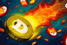 ¡Dogecoin se dispara mientras la tasa de quema de Shiba Inu se estanca! Descubre lo que está sucediendo en el mercado crypto - Cripto Boom