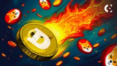 ¡Dogecoin se dispara mientras la tasa de quema de Shiba Inu se estanca! Descubre lo que está sucediendo en el mercado crypto - Cripto Boom