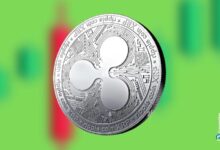 Binance es el principal exchange para las ballenas de XRP de Ripple: Descubre por qué - Cripto Boom