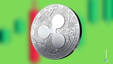 Binance es el principal exchange para las ballenas de XRP de Ripple: Descubre por qué - Cripto Boom