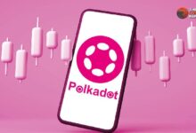 ¿Será Polkadot (DOT) el Próximo para un Rally Parabólico? Descúbrelo Aquí - Cripto Boom