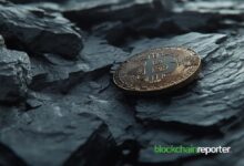 BlackRock Aumenta su Portafolio de Bitcoin con una Nueva y Gran Adquisición: ¡Descubre los Detalles! - Cripto Boom