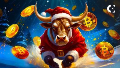 De Uptober a Bullcember: ¿Crecimiento Explosivo en el Mercado Cripto, BTC a $100k? Descúbrelo Aquí - Cripto Boom