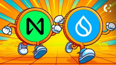 Precio de SUI se Dispara un 112% en 30 Días, Superando a NEAR Protocol - ¡Descubre Más! - Cripto Boom