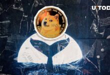 ¡Dogecoin se dispara un 3,586% en actividad de ballenas! Descubre el giro inesperado - Cripto Boom
