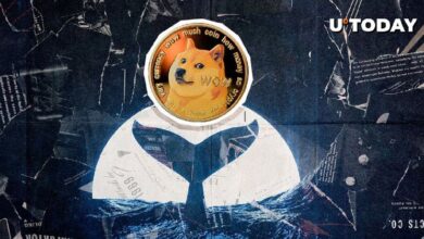 ¡Dogecoin se dispara un 3,586% en actividad de ballenas! Descubre el giro inesperado - Cripto Boom
