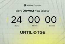 Debridge Cierra Venta Exclusiva de Tokens para Participantes Seleccionados ¡Descubre los Detalles! - Cripto Boom