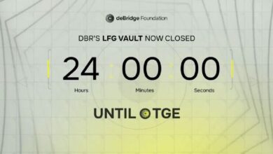 Debridge Cierra Venta Exclusiva de Tokens para Participantes Seleccionados ¡Descubre los Detalles! - Cripto Boom