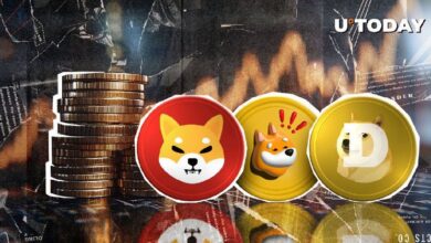 ¡Shiba Inu, Dogecoin, Bonk y Más: Aprovéchate del Éxito de las Legendarias Meme Coins! - Cripto Boom
