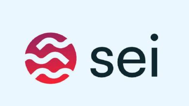 Sei Network da la Bienvenida a MoonPay para Transacciones Cripto Sin Fricciones - Descubre Más - Cripto Boom