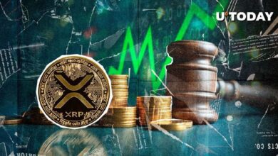 ¡Disfruta el Aumento! Volumen de XRP se Dispara un 50% mientras se Desarrolla el Drama de la Apelación SEC vs. Ripple - Cripto Boom