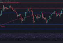 Análisis del Precio de Bitcoin: ¿Cuáles Son las Oportunidades de BTC para un Nuevo Máximo Histórico tras el Rechazo a $69K? ¡Descúbrelo Ahora! - Cripto Boom