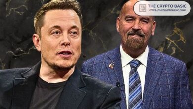 Elon Musk Apoya a Abogado Pro-XRP Deaton para Desbancar a la Senadora Elizabeth Warren: Descubre Más - Cripto Boom