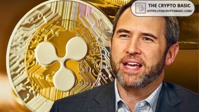 CEO de Ripple Confirma que la OPI No es Prioridad, pero Revela Nuevo Cronograma para Oferta Potencial - ¡Descubre Más! - Cripto Boom
