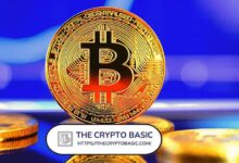 Descubre Por Qué Bitcoin Podría No Bajar Más de Precio - Cripto Boom