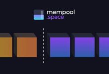 El Drama del Mempool de Bitcoin: ¡Descubre Lo Que Era Predecible! - Cripto Boom