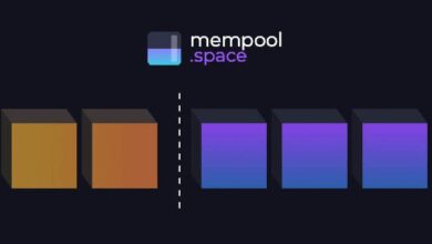 El Drama del Mempool de Bitcoin: ¡Descubre Lo Que Era Predecible! - Cripto Boom