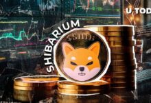 ¡4.77 Millones en Transacciones Diarias: Shibarium Finalmente Despega! - Cripto Boom