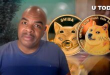 Monedas Meme (DOGE, SHIB) Alcanzarán Capacidad de Mercado de $1 Trillón Este Ciclo: Descubre por Qué Jeremie Davinci Lo Cree - Cripto Boom