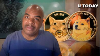 Monedas Meme (DOGE, SHIB) Alcanzarán Capacidad de Mercado de $1 Trillón Este Ciclo: Descubre por Qué Jeremie Davinci Lo Cree - Cripto Boom