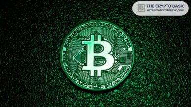 Expertos Aseguran: MACD Semanal y Tendencias Mensuales de Bitcoin en Verde, ¡Confirma Más Ganancias! - Cripto Boom