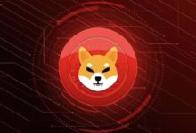 ¿Repunte del 100% para Shiba Inu? Expertos Ven Reversión Global como Catalizador - Descubre Más - Cripto Boom