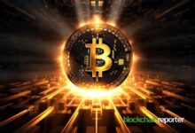 Datos NUPL de Bitcoin Indican Alza Emergente en Sentimiento del Mercado – Descubre Más Aquí - Cripto Boom