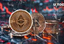 Ethereum Sigue Cayendo Frente a Bitcoin: Descubre las Últimas Movidas del Mercado - Cripto Boom