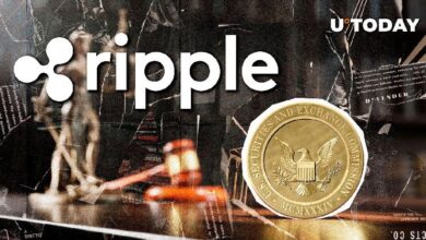 Abogado Principal de Ripple Predice el Resultado de la Apelación de la SEC: ¡Descubre el Futuro de XRP! - Cripto Boom