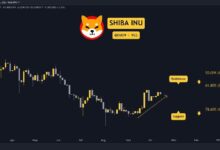 Predicción del Precio de Shiba Inu (SHIB) para Esta Semana: ¡Descubre los Detalles! - Cripto Boom