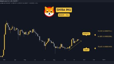 Predicción del Precio de Shiba Inu (SHIB) para Esta Semana: ¡Descubre los Detalles! - Cripto Boom