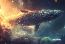 Ballenas de Bitcoin se Preparan para Aumento de Precios, Informa CryptoQuant: ¡Descubre los Detalles! - Cripto Boom