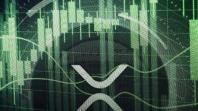 ¡Explora el Camino de XRP hacia los $40! ¿Qué Tan Cerca Estamos? - Cripto Boom