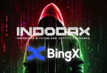 ¿Existe una Conexión entre el Hacker de Indodax y el Hacker de BingX? Descúbrelo Aquí - Cripto Boom