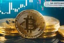 Veterano Analista Predice Cuándo Bitcoin Atacará su Máximo Histórico ¡Descúbrelo! - Cripto Boom