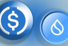 ¡Descubre por qué Sui es el activo digital con mejor rendimiento en lo que va del año! - Cripto Boom