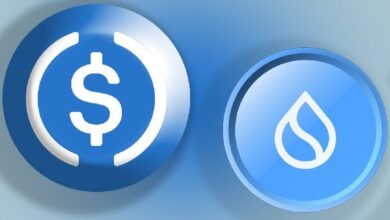 ¡Descubre por qué Sui es el activo digital con mejor rendimiento en lo que va del año! - Cripto Boom