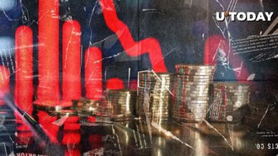 ¡Liquidez Cripto Alcanza $271 Millones! Descubre Qué Está Pasando - Cripto Boom
