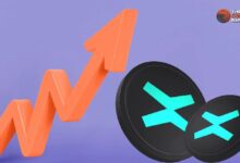 ¡EGLD Crypto Se Prepara para un Gran Despegue! Descubre las Claves para Superar Obstáculos Clave - Cripto Boom
