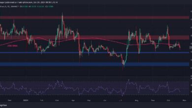 ¿Está XRP en peligro de caer por debajo de $0.5? (Análisis de Precio de Ripple) - Descúbrelo ahora - Cripto Boom