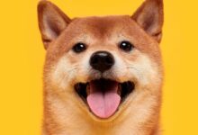 ¡Dogecoin Vuelve a Subir Tras Mención de Musk en Ayuntamiento de Pensilvania! Descubre Más Ahora - Cripto Boom