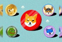Grandes Movimientos en 2024: Las 5 Criptomonedas Meme que Capturan la Atención del Mercado - ¡Descúbrelas Ahora! - Cripto Boom