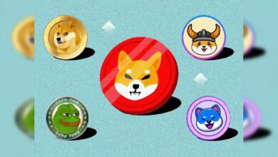 Grandes Movimientos en 2024: Las 5 Criptomonedas Meme que Capturan la Atención del Mercado - ¡Descúbrelas Ahora! - Cripto Boom