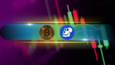 ApeCoin (APE) Regresa al Top 100 de Altcoins, Bitcoin (BTC) Sostiene los $68K (Vigilancia de Fin de Semana) - ¡Descubre Más! - Cripto Boom