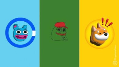 ¡Descubre los nuevos listados de Upbit! PEPE, BONK y BRETT disponibles tras dos años de historia comercial - Cripto Boom